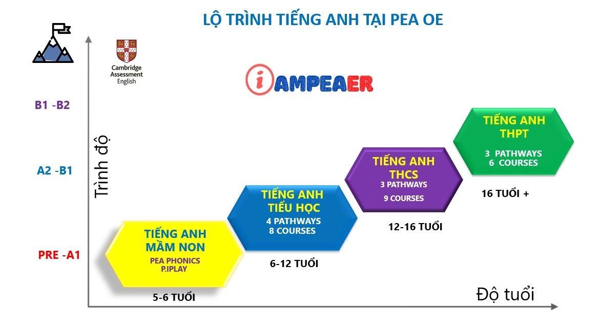 Lộ Trình Đào Tạo 